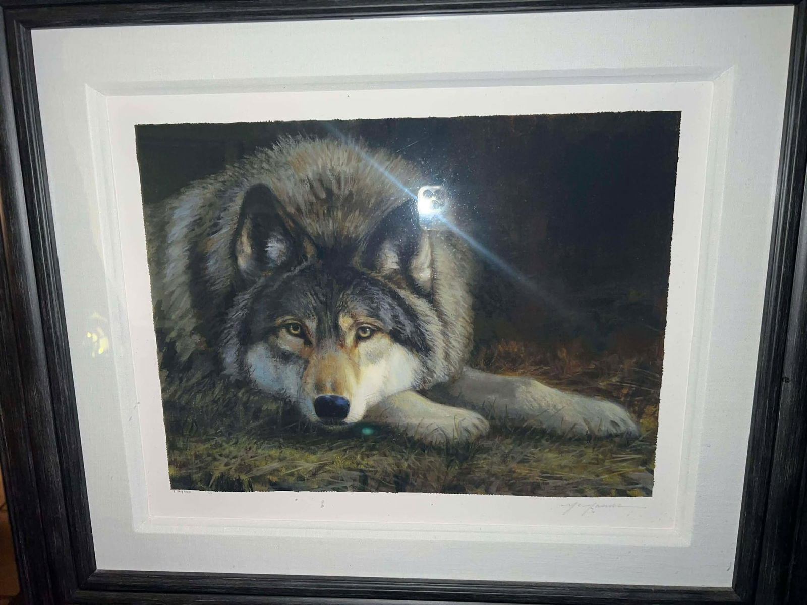 pat Mcmanus Forever Wild: Pat Mcmanus "Forever Wild" 2017 11 7/8" x 16" image size Giclee in color on paper. Hand-signed in pencil lower right byt the artist. Gallery framed, COA, appraisal SKJ