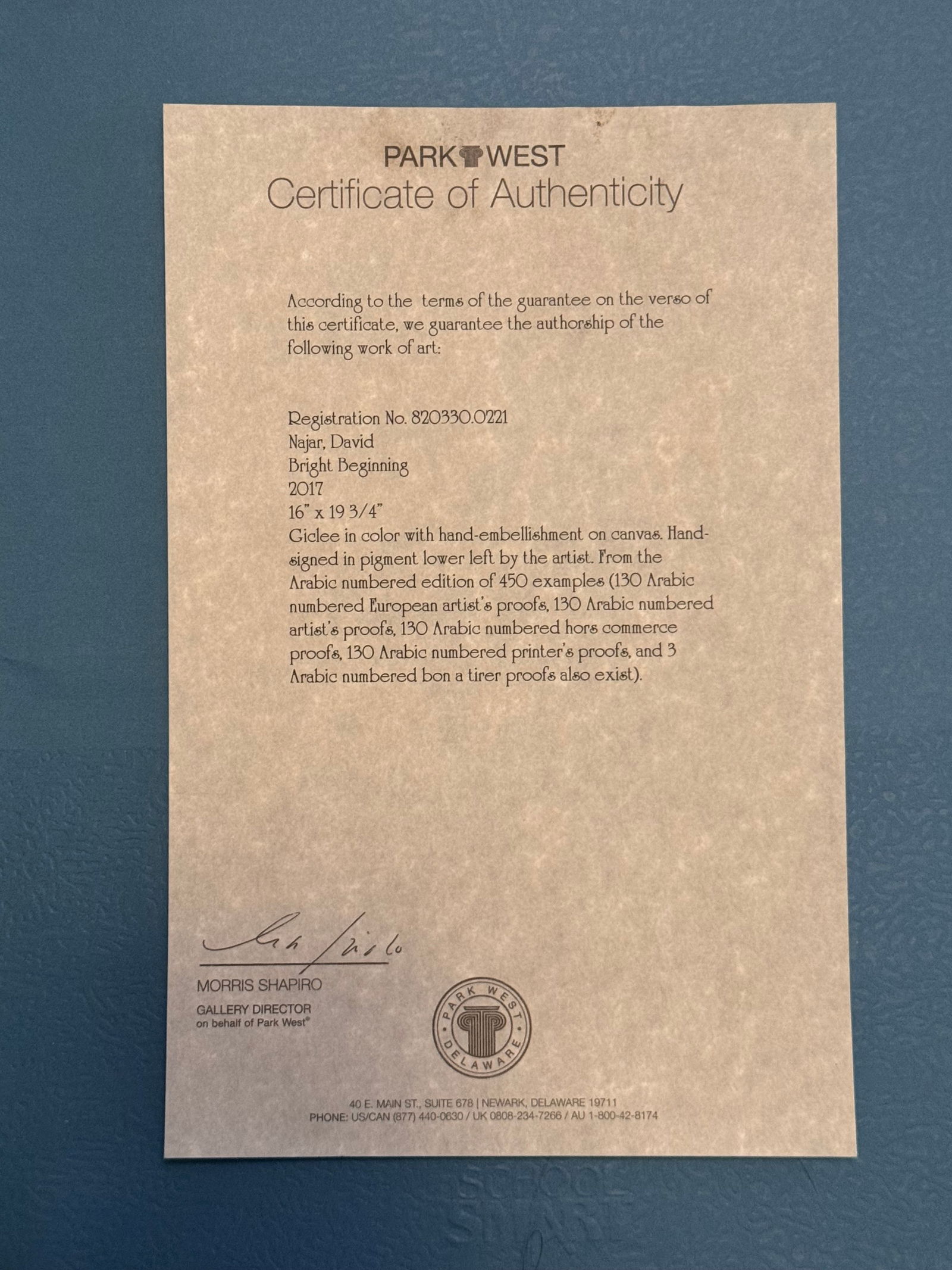 David Najar Bright Beginning - 2