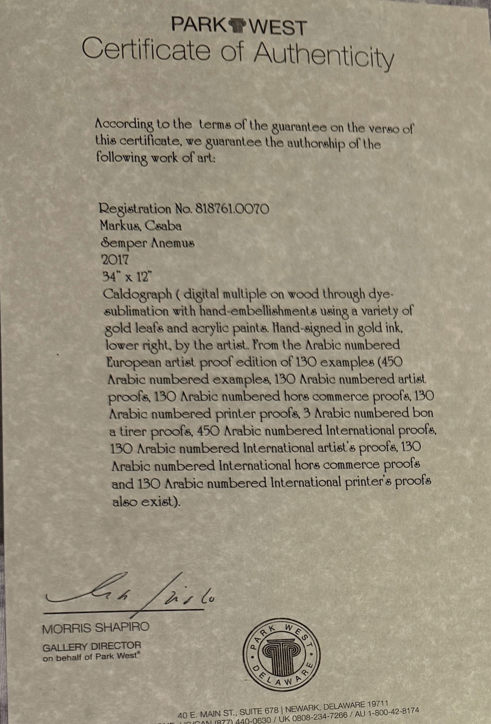 Csaba Markus Semper Anemus - 2