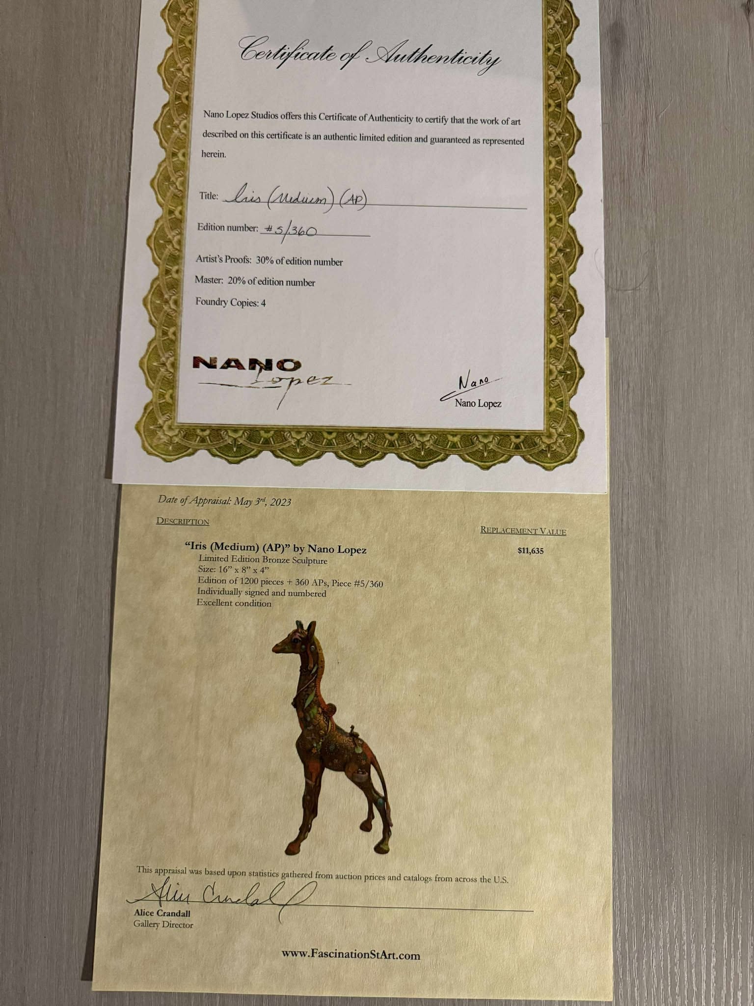 Nano Lopez Iris (Medium) (AP) - 5