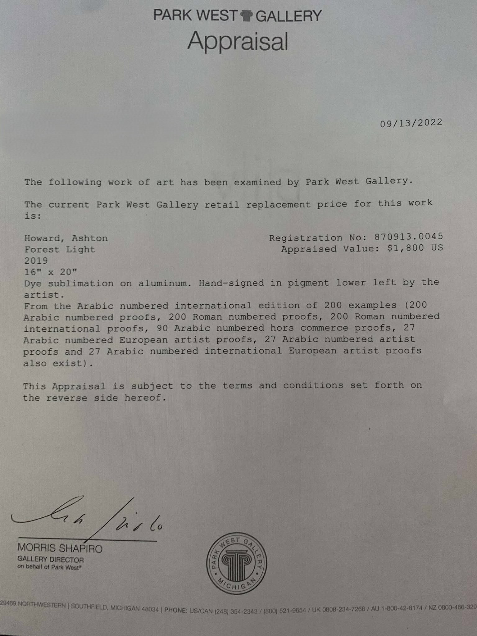 Ashton Howard Forest Light - 2