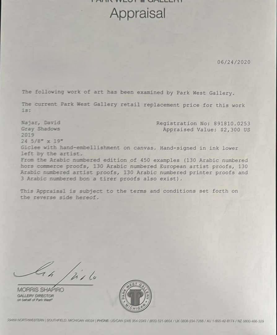 David Najar Gray Shadows - 3