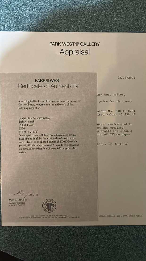 Itzchak Tarkay Colorful Pose - 2