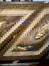 Andrew Bone Zero Contestants