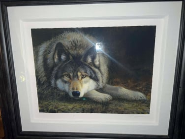 pat Mcmanus Forever Wild