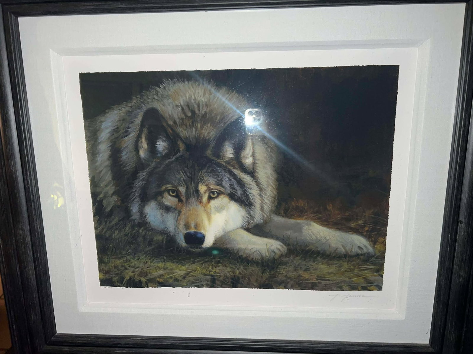 pat Mcmanus Forever Wild: Pat Mcmanus "Forever Wild" 2017 11 7/8" x 16" image size Giclee in color on paper. Hand-signed in pencil lower right byt the artist. Gallery framed, COA, appraisal SKJ