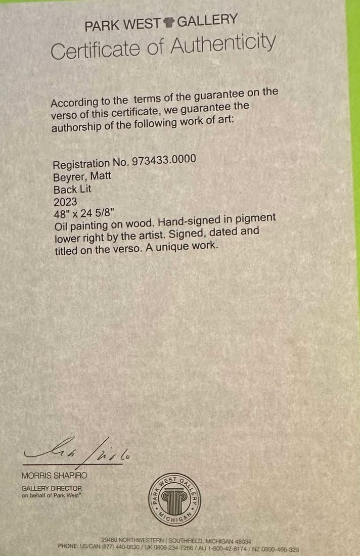 Matt Beyrer Back Lit Unique - 3