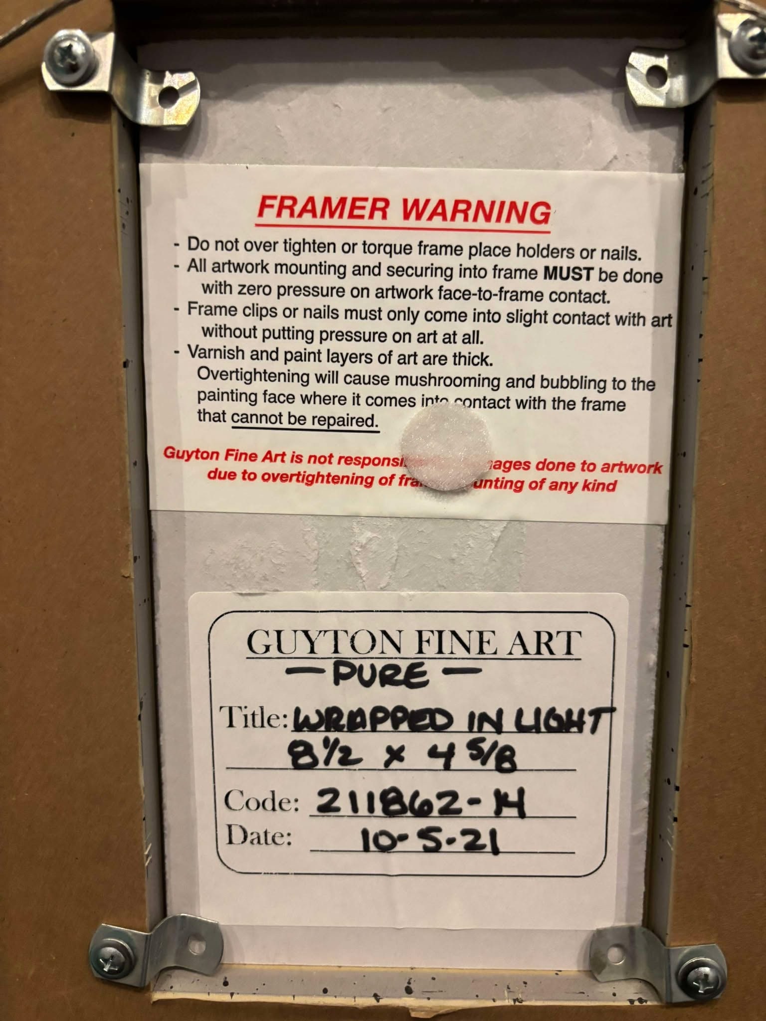 Patrick Guyton Wrapped in Light unique - 2