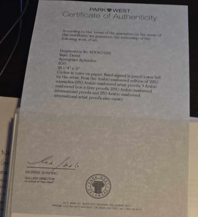 David Najar Springtime Splendor - 2