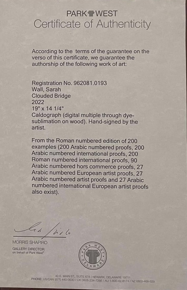 Sarah Wall Clouded Bridge - 2