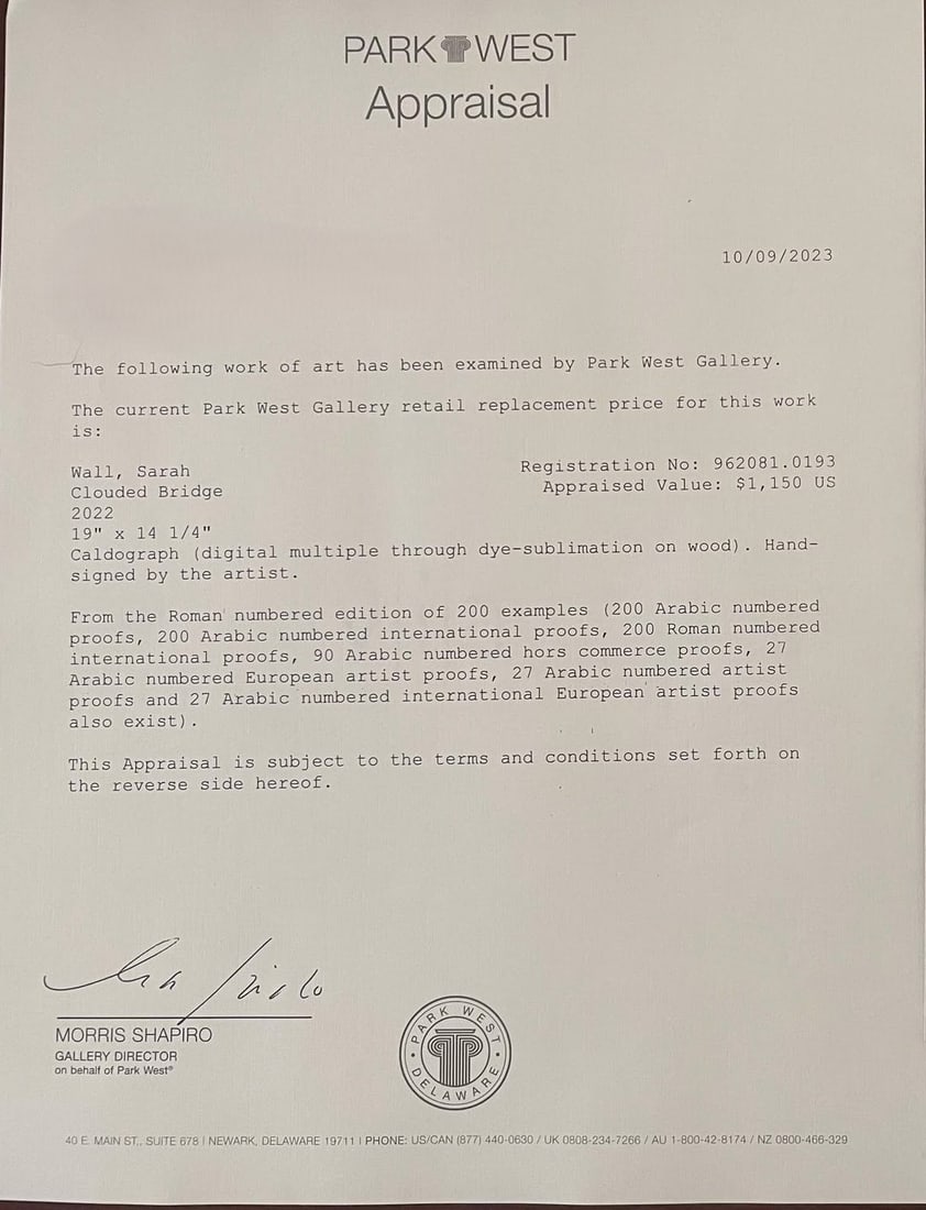 Sarah Wall Clouded Bridge - 3