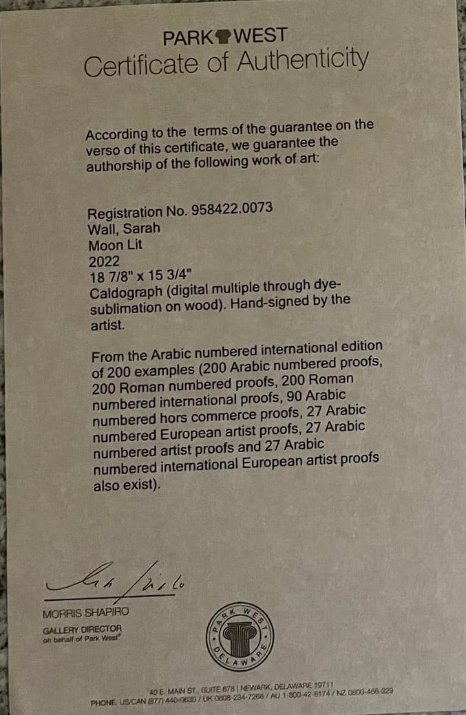Sarah Wall Moon Lit - 2