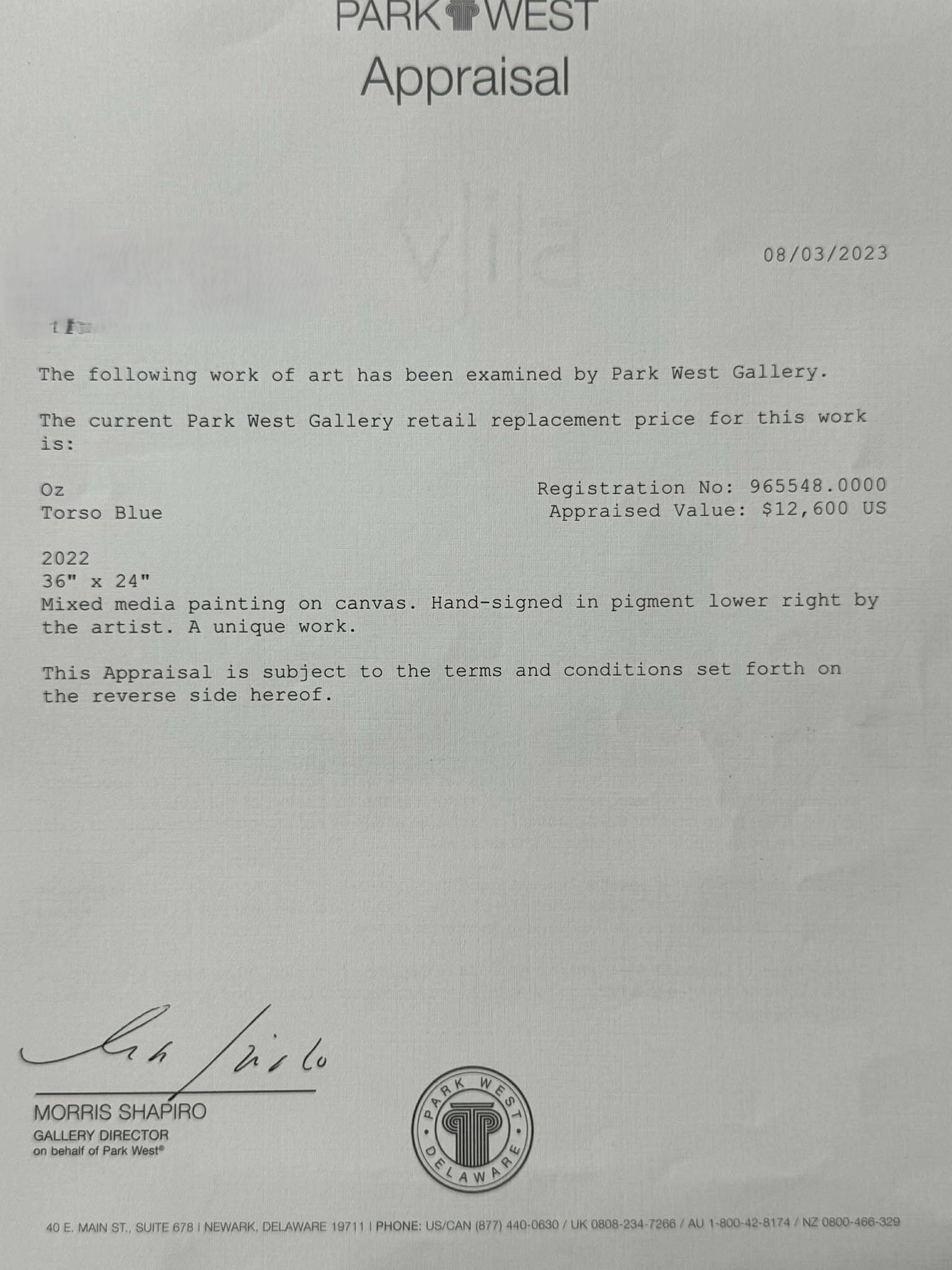 Oz Torso Blue Unique - 3