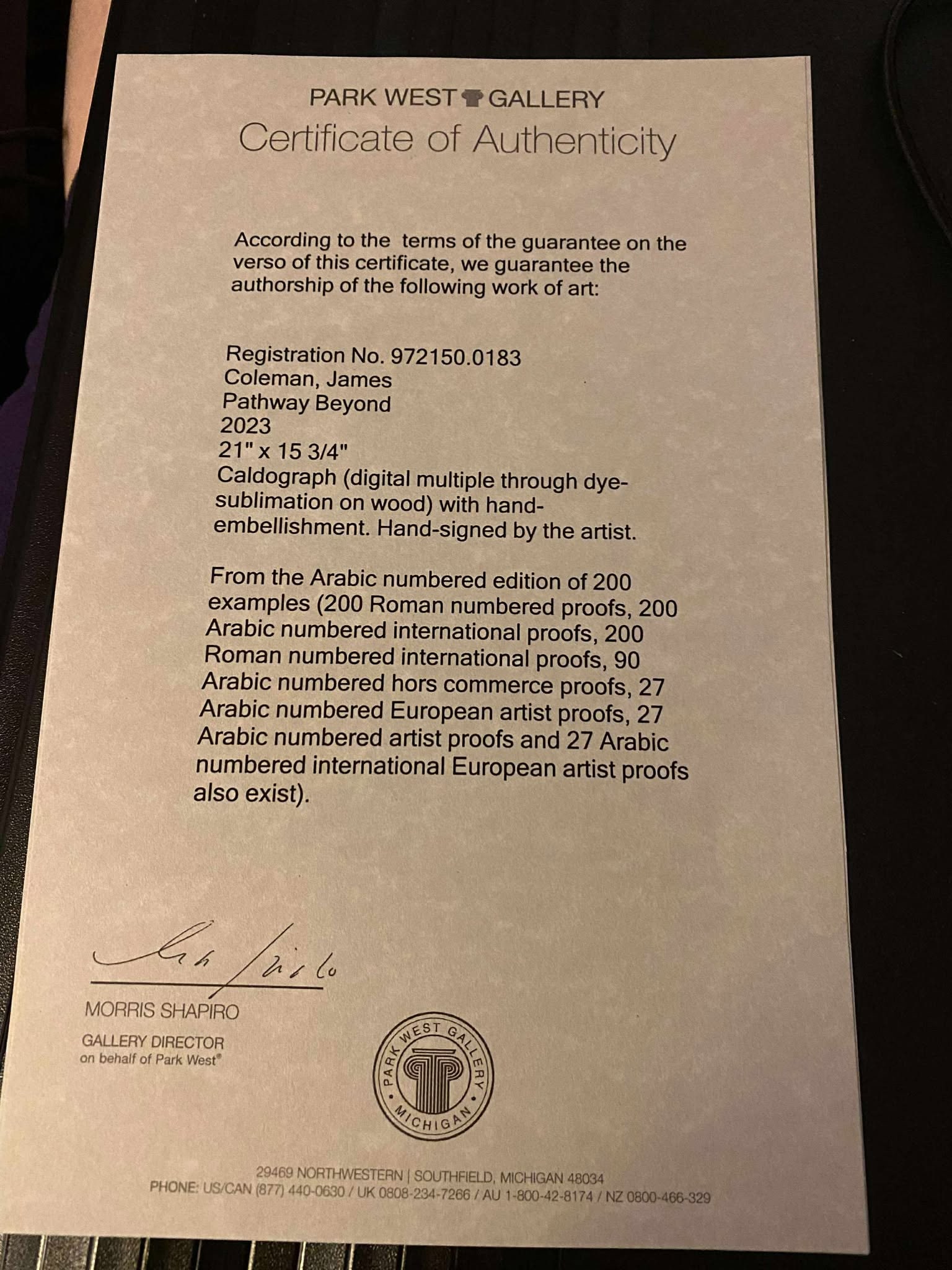 James Coleman Pathway Beyond - 2