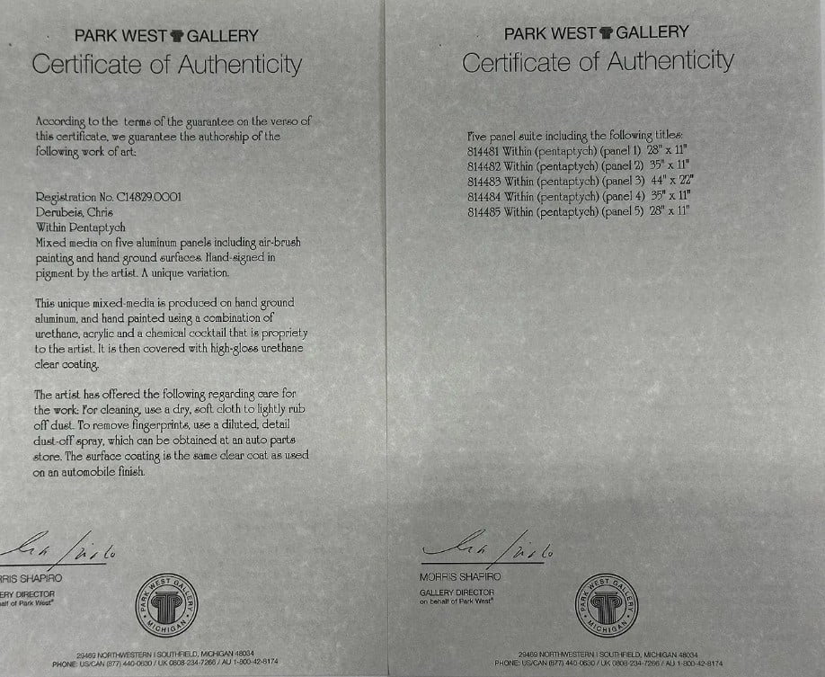 Chris Derubeis Within Pentaptych Unique - 3