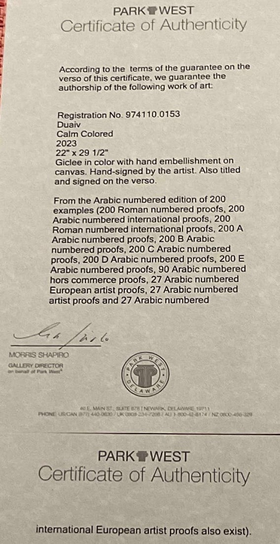 Duaiv Calm Colored - 2