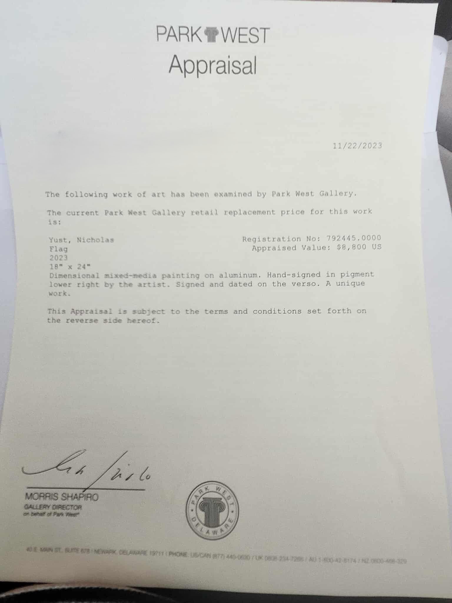 Nicholas Yust Flag Unique - 3