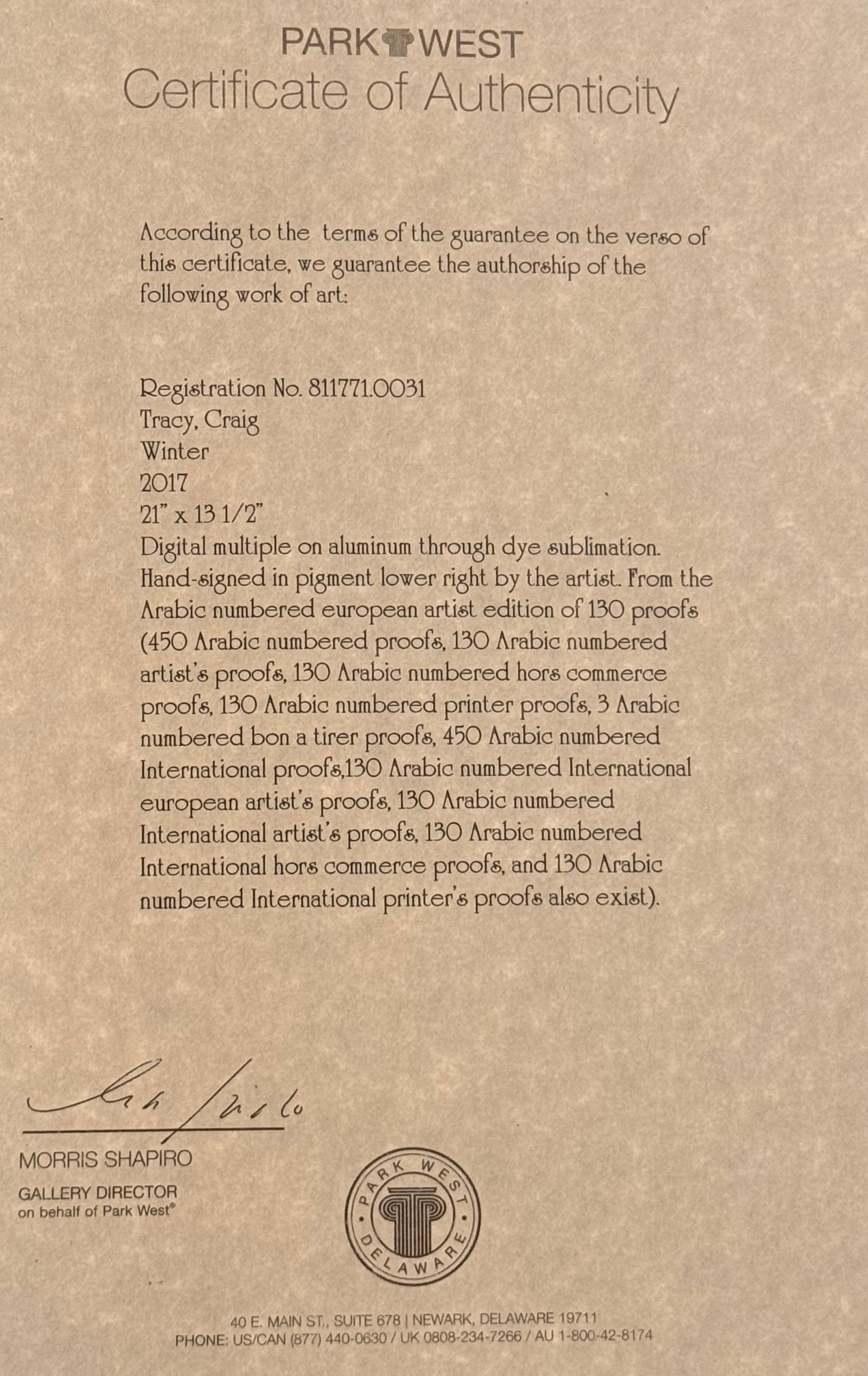 Craig Tracy Winter - 2