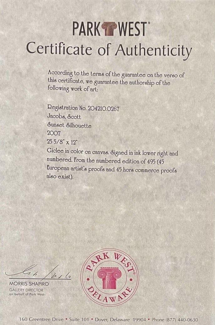 Sunset Silhouette - 2