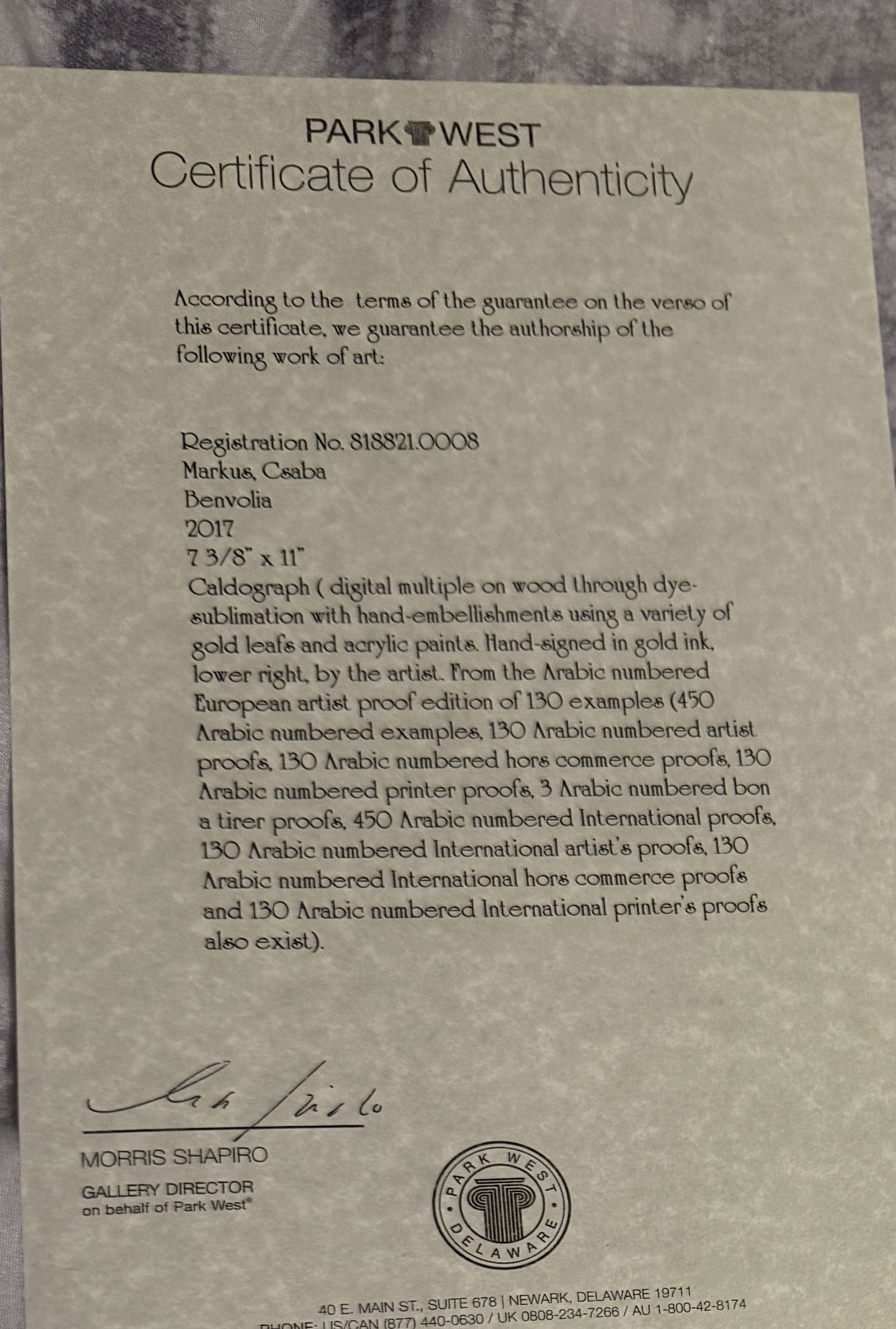 Csaba Markus Benvolia - 2