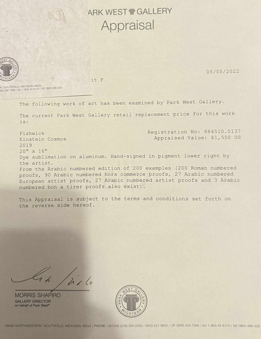 Fishwick Einstein Cosmos - 3