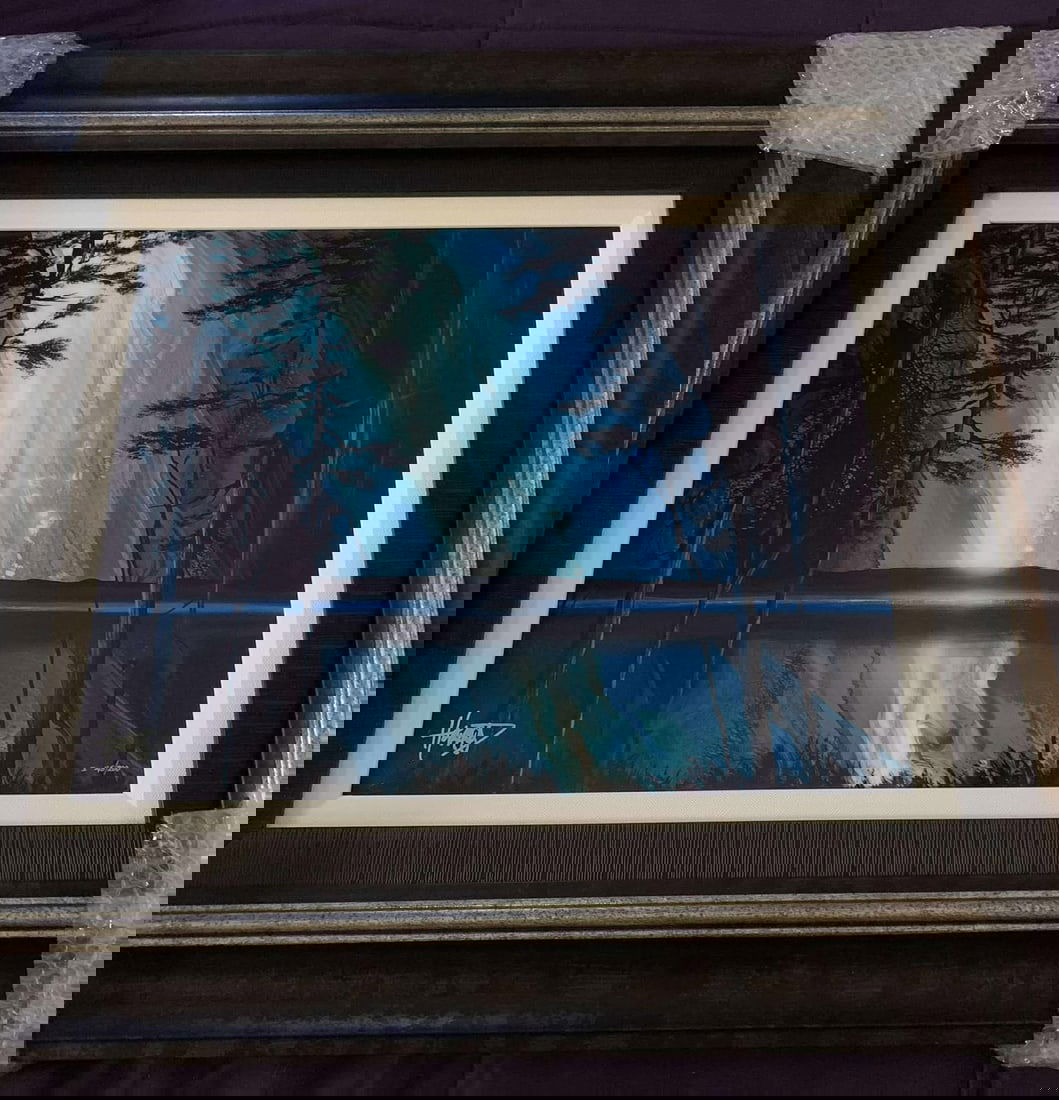 Ashton Howard Forest Light (1 of 2)