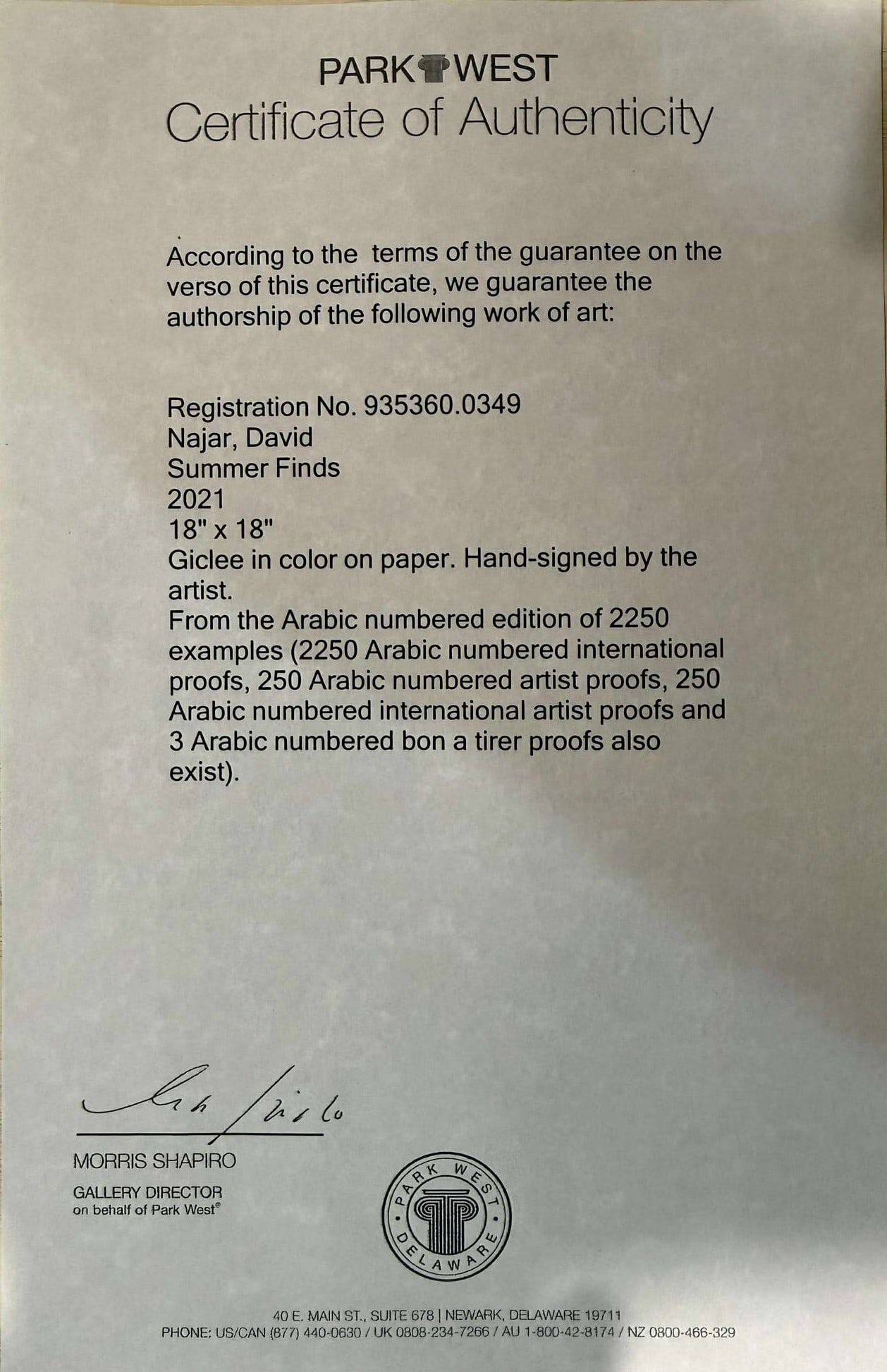 David Najar Summer Finds - 2