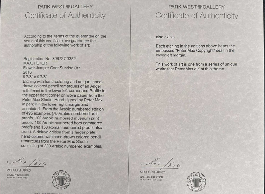 Peter Max Flower Jumper Over Sunrise - 4