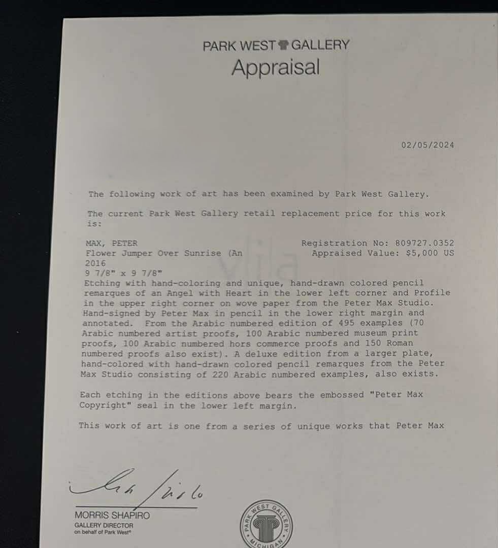 Peter Max Flower Jumper Over Sunrise - 5