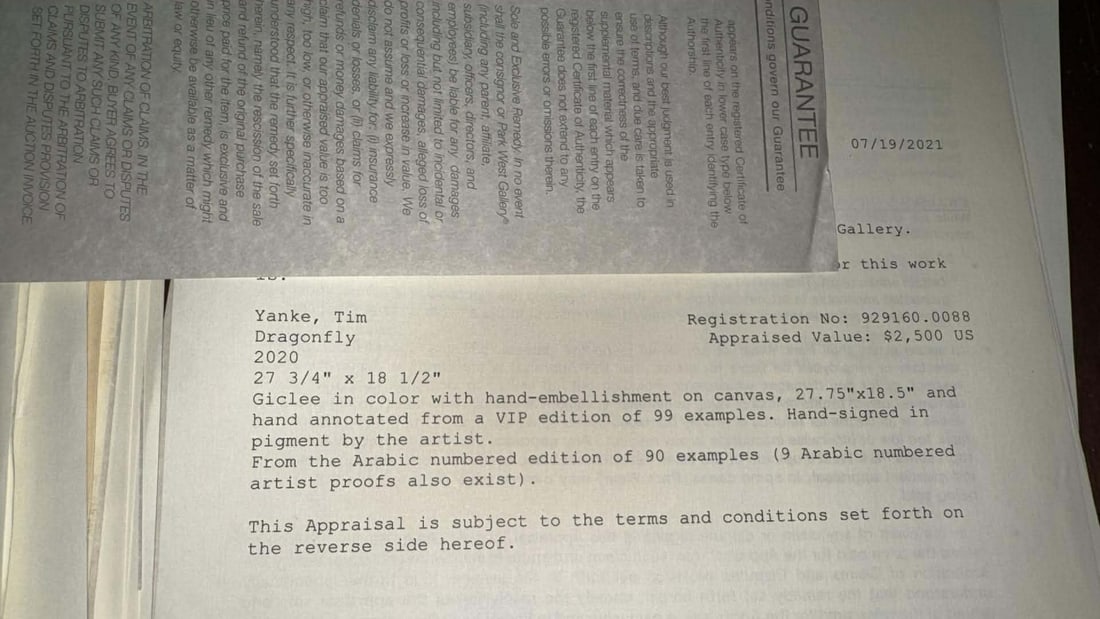 Tim Yanke Dragonfly - 2