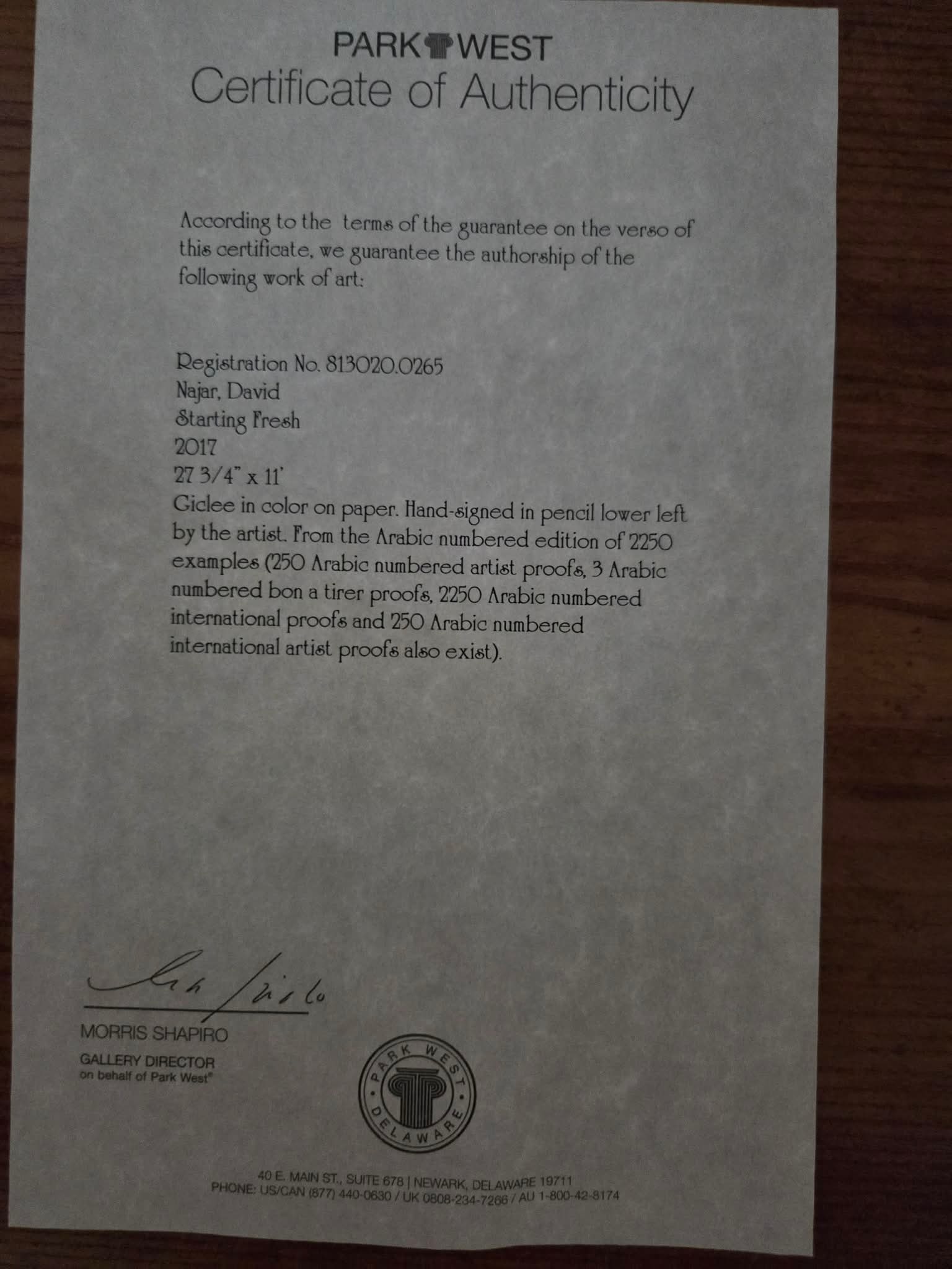 David Najar Starting Fresh - 2