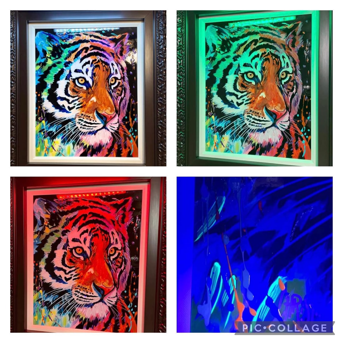 Fearless Gaze: Christian Masot "Fearless Gaze" UNIQUE 2024 20" x 16" image size Oil painting on metal. Hand signed in pigment lower left by the artist. Signed and title on the verso. Gallery framed COA