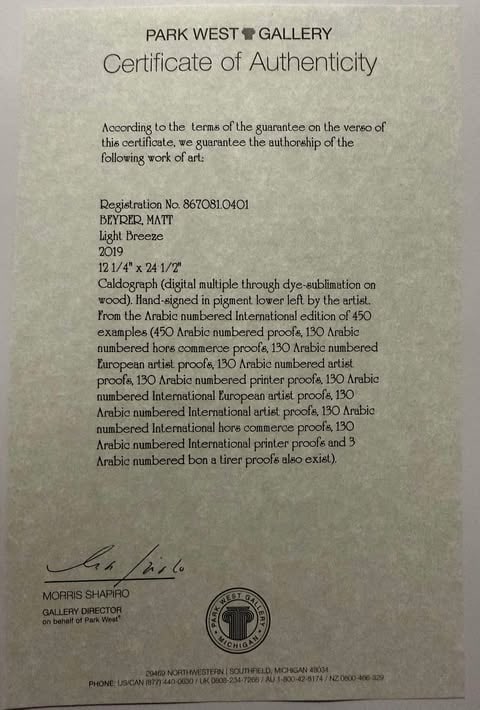 Matt Beyrer Light Breeze - 3