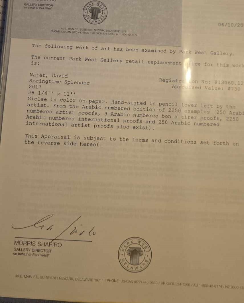 David Najar Springtime Splendor - 3