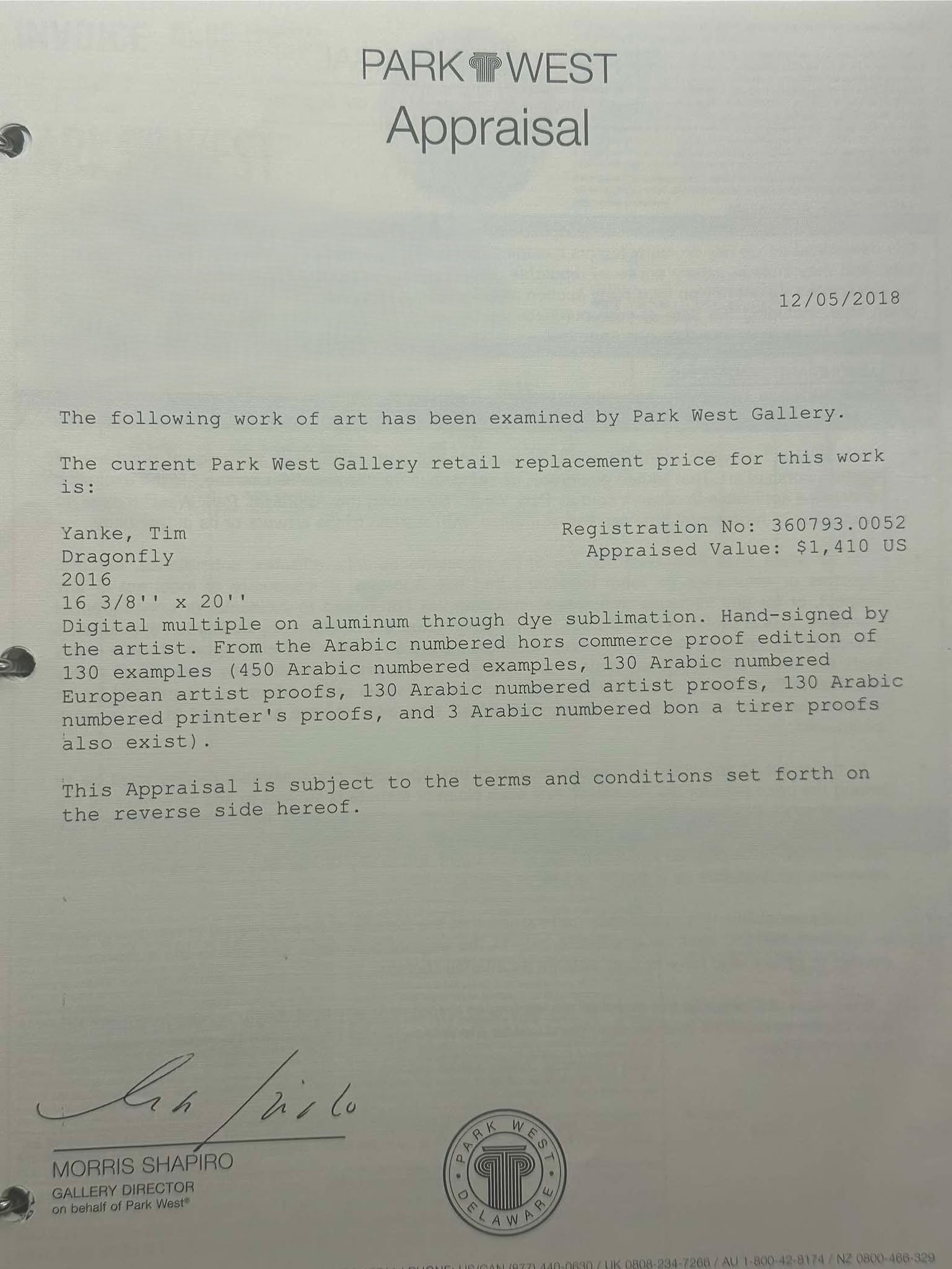 Tim Yanke Dragonfly - 4