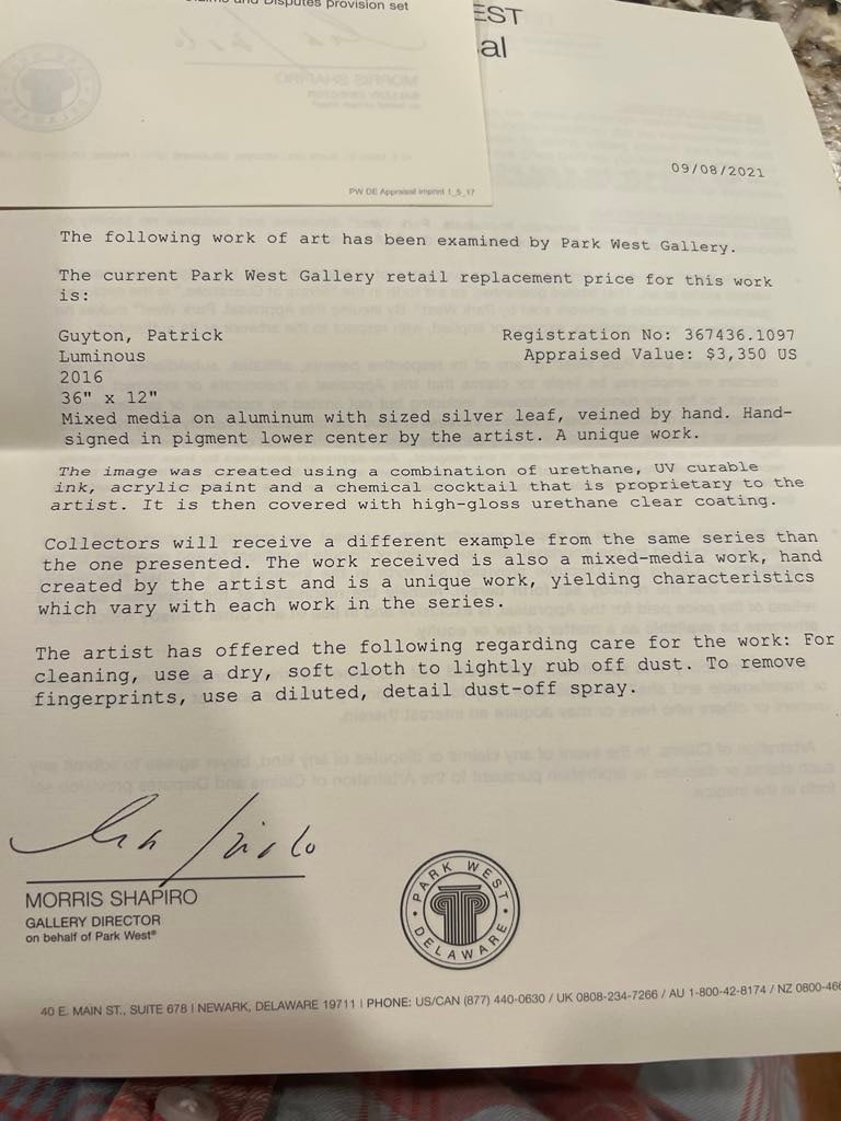 Patrick Guyton Luminous - 3