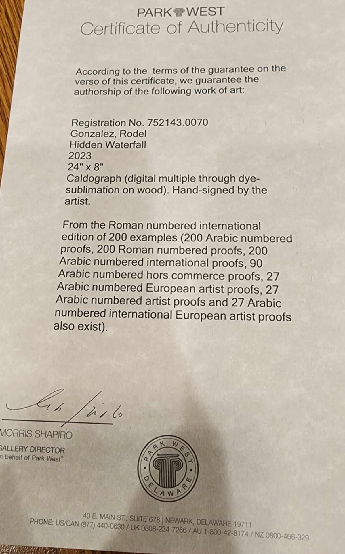 Rodel Gonzalez "Hidden Waterfall" - 2