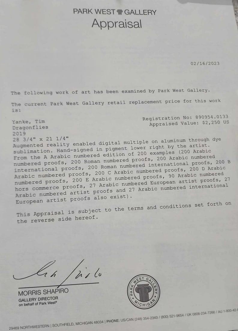 Tim Yanke "Dragonflies" - 2