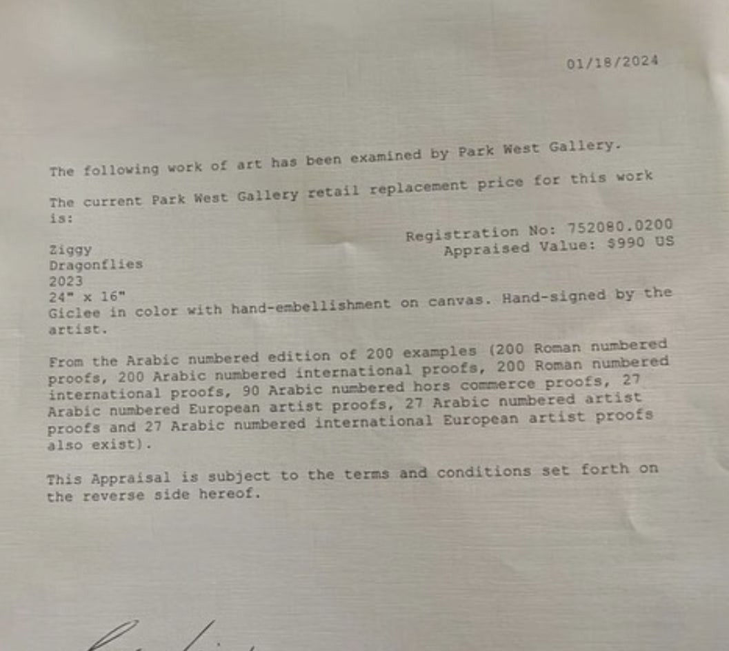 Ziggy "Dragonflies" - 3