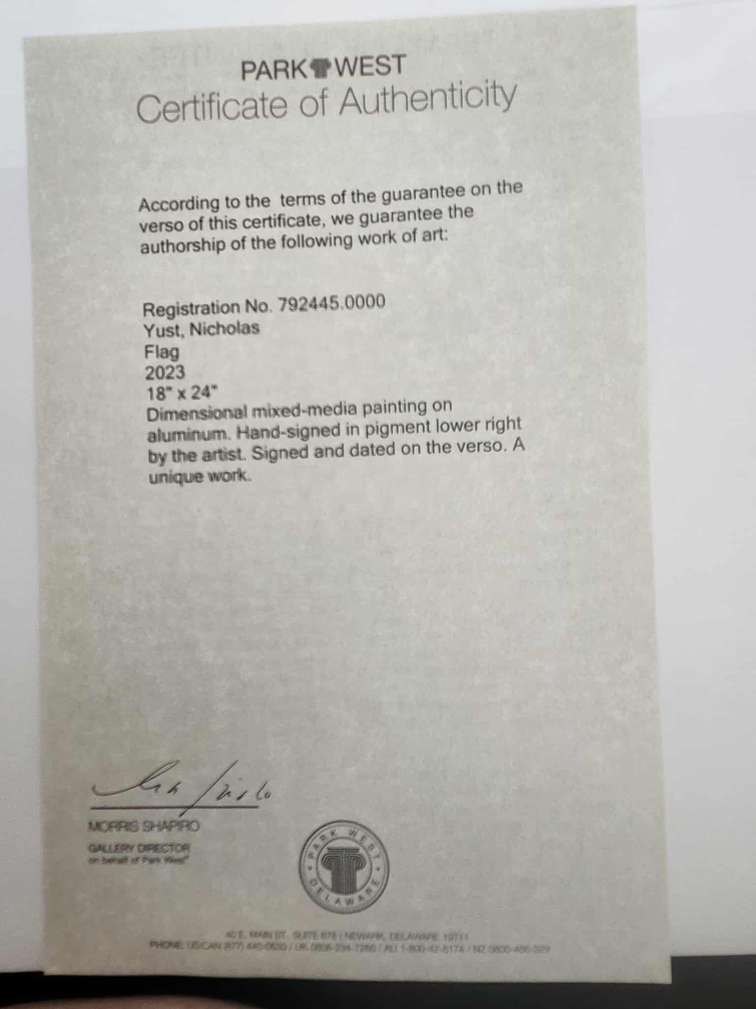 Nicholas Yust Flag Unique - 2