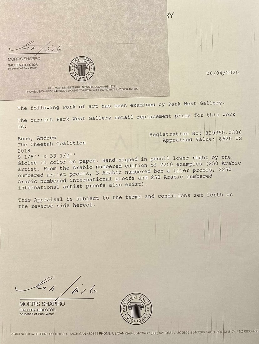 Andrew Bone The Cheetah Coalition - 3