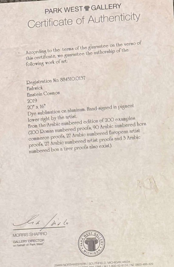 Fishwick Einstein Cosmos - 2