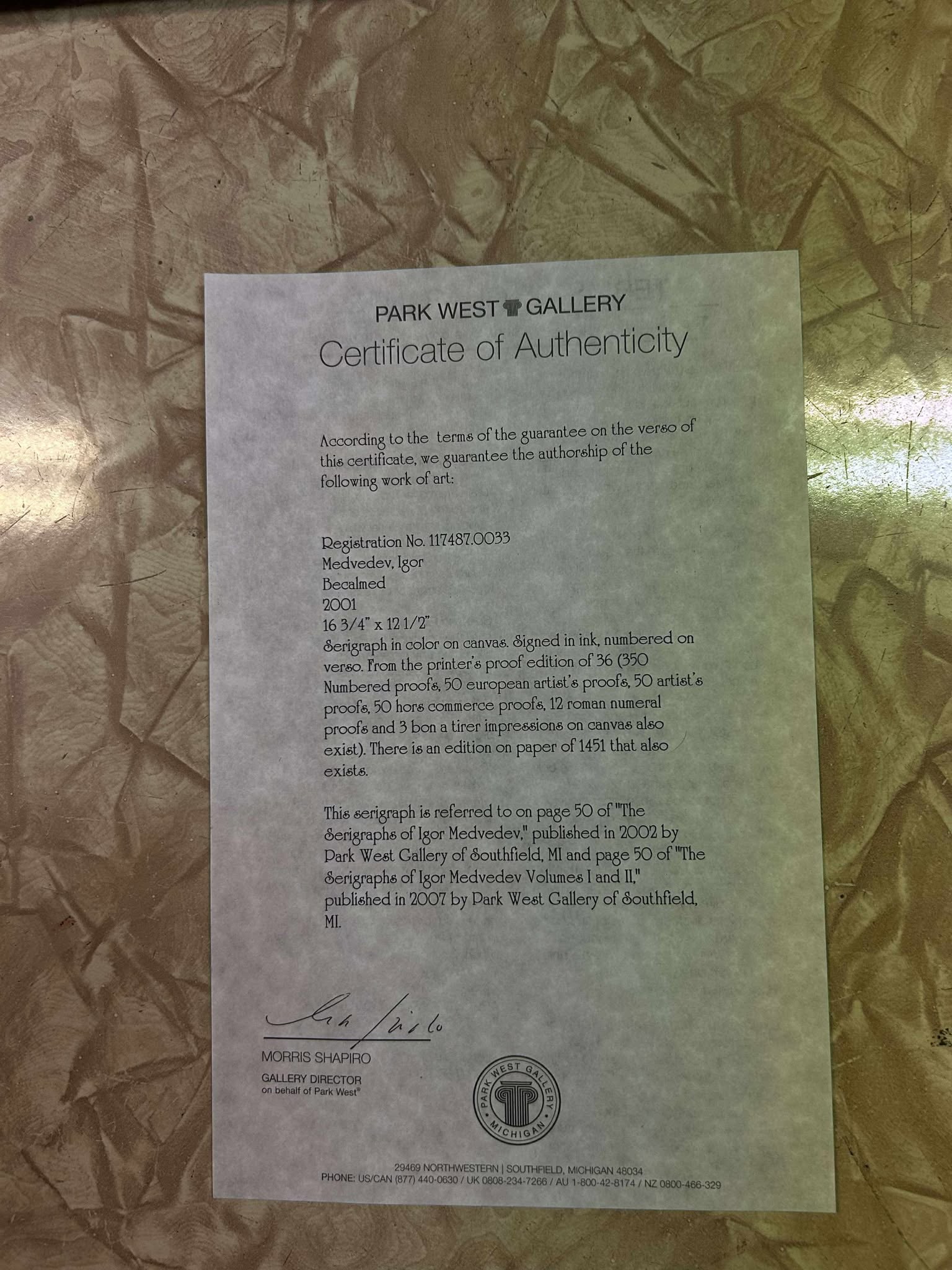 Igor Medvedev Becalmed - 2