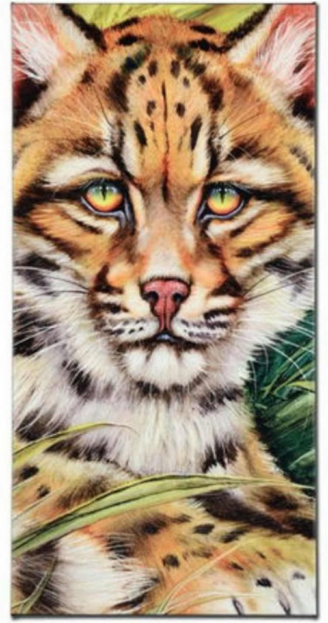 Martin Katon Ocelot Eyes: Martin Katon "Ocelot Eyes" limited edition Giclee on canvas. Numbered and signed by artist. Gallery wrapped, letter of authenticity. Unframed. 12" x 24"