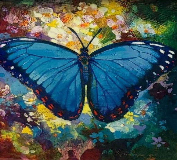 Blue Morpho - 2