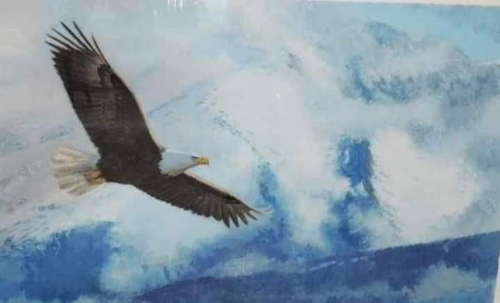 Wings Over Glacier Bay - 2