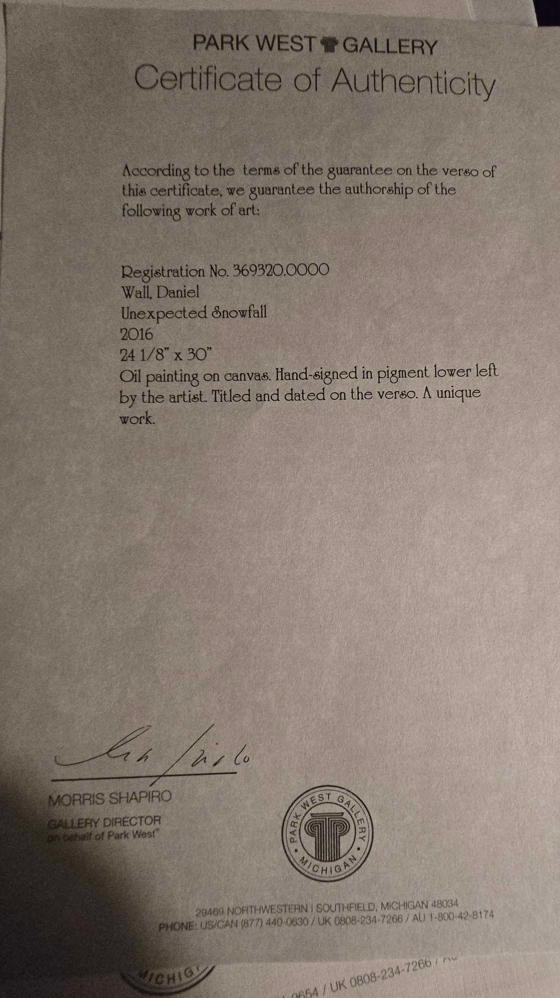 Daniel Wall "Unexpected Snowfall" - 2