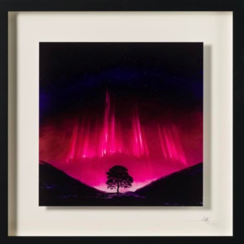 Forever Sycamore: Richard Rowan "Forever Sycamore" This artwork is a hand-signed flatbed giclée on glass LE 195 Hand signed Framed 31.0in x 31.0in COA. Allow 3-4 weeks for delivery, VAT additional