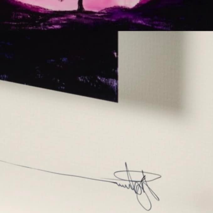 Forever Sycamore - 2