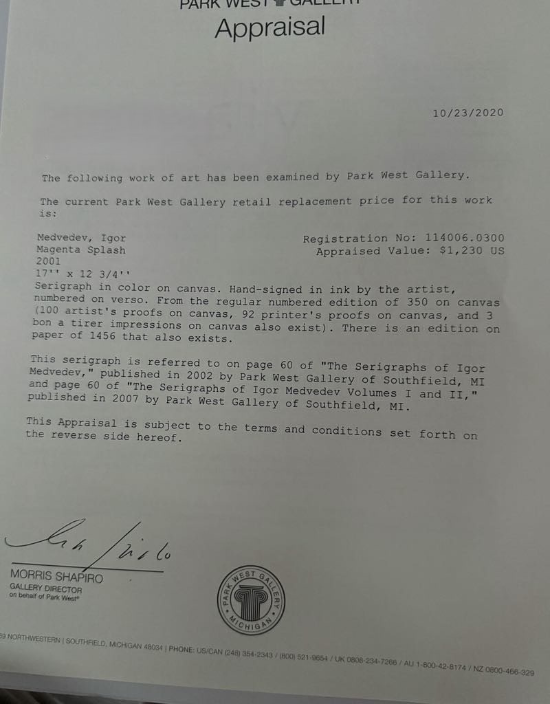 Igor Medvevdev "Magenta Splash" - 4